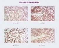 要比医院想得更早一步，「臻和科技」瞄准临床需求导向的基因检测