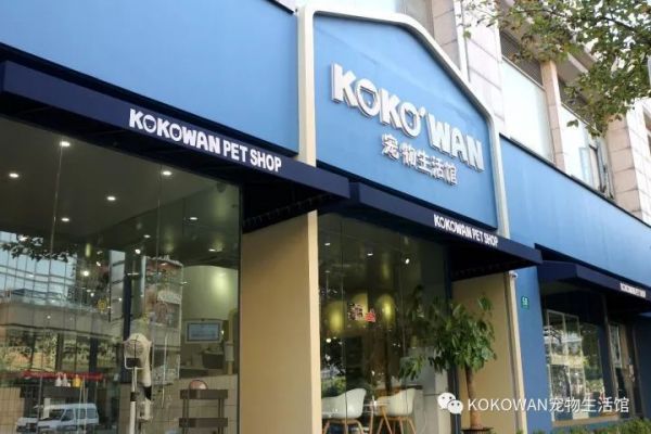 中国还在等待自己的 PetSmart，Kokowan 的思路是直营加盟并行