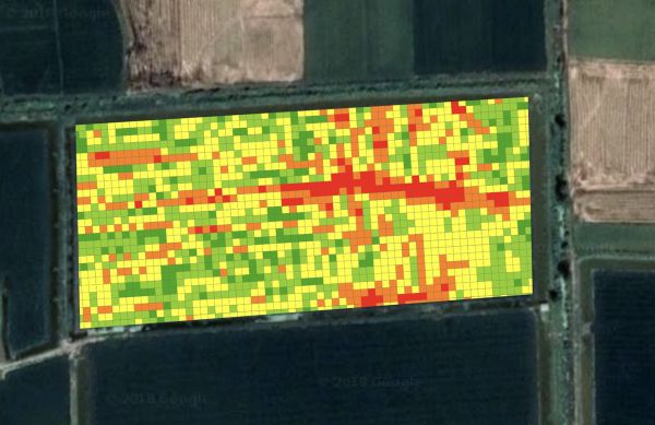 36氪首发 | 视觉光谱监测农作物生长信息，「麦飞科技」获过亿元A轮融资