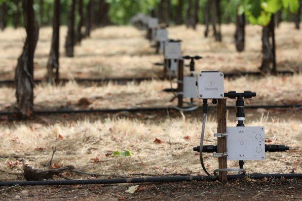 “水形物语”：农业科技是如何提高灌溉效率的？