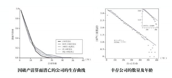 曦域资本黄晓黎：我的科技金融投资方法论