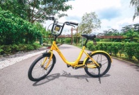 共享单车ofo在新加坡被撤销执照 无法在当地提供服务