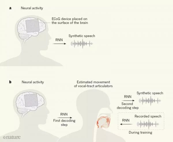 Nature重磅：华裔科学家成功解码脑电波，AI直接从大脑中合成语音