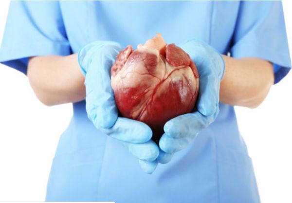 替代心脏移植，人工心脏研发企业「同心医疗」获蓝帆医疗1亿元投资