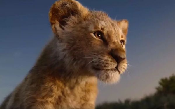 史上最接近真实的《狮子王》是怎么拍出来的？