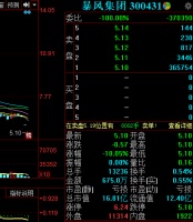 暴风再度一字跌停 东莞证券一营业部卖出256万元