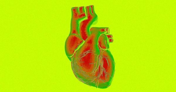 技术前沿洞察：3D打印出活体心脏，AI让你体验登月
