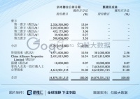 戴志康:一个地产大佬的P2P折戟路