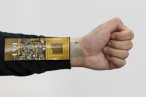 斯坦福大学新研发的电子皮肤，可能终结所有智能设备