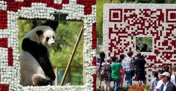 微信因为二维码被告了，这个“外来物种”为什么能在中国开花？