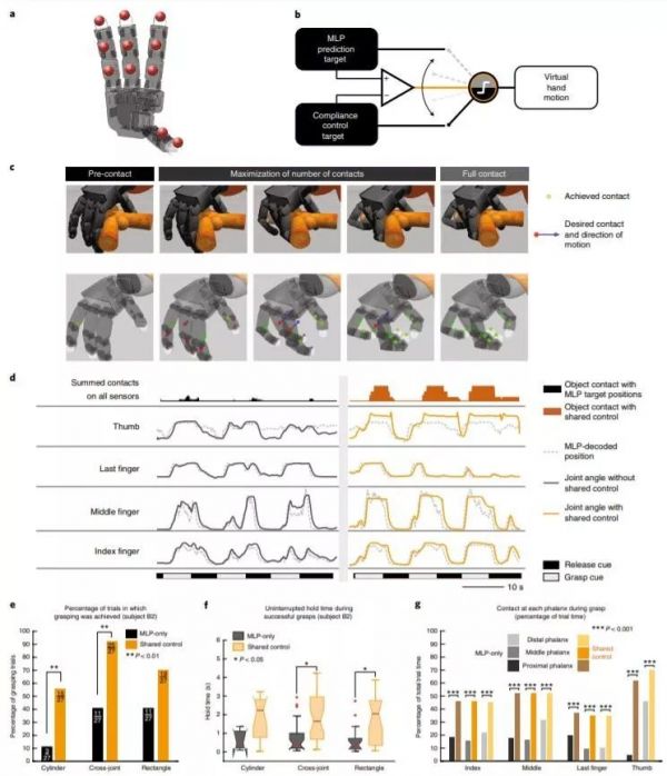 意念加AI算法「复原」每个手指，智能义肢登上Nature子刊封面