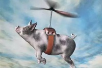AI为什么救不了“想上天”的猪?