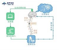 36氪首发 | 将脑机接口技术应用于医疗康复，「臻泰智能」获联想创投数百万元天使轮融资