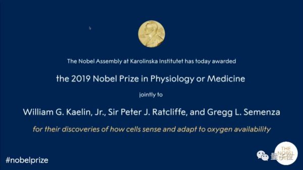 2019诺贝尔生理学医学奖率先颁出，揭秘血与氧关系，抗击肿瘤和癌症