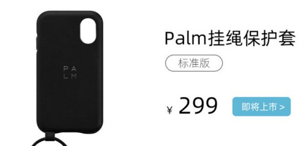 重回中国的 Palm，道阻且长