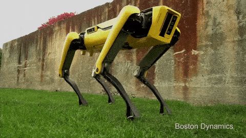 最生动的机器人终于要上市了，它能干嘛？