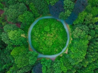 另一种视角看科技巨头:为什么苹果讨厌谷歌,脸书是新的微软?
