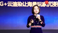 华为云胡维琦：未来手机只是信息入口 所有运算都将在云端