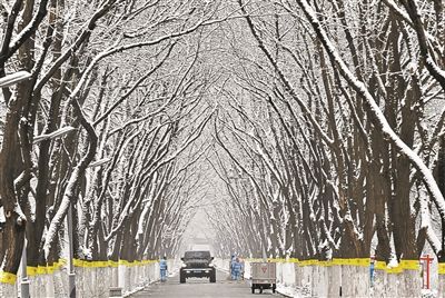 昨天上午，环卫工人在通州堡龙路清除雪水 黑建军 图
