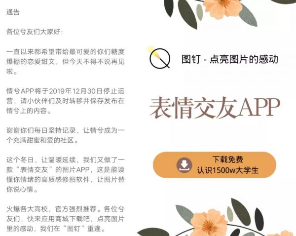 阿里上线“图钉”，布局图片交友