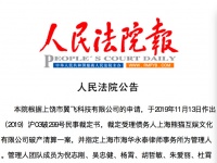 王思聪的熊猫互娱进入破产程序 拟开债权人会议