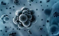 湖北出现儿童感染病例 专家:爱孩子就别亲吻孩子