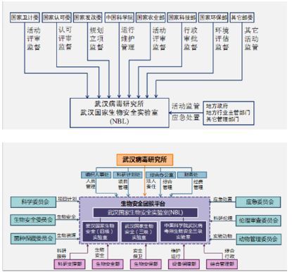 揭秘P4实验室：10道门，能否锁住致命病毒