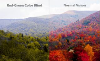 如何用眼镜让色盲患者重新看到世界的色彩？