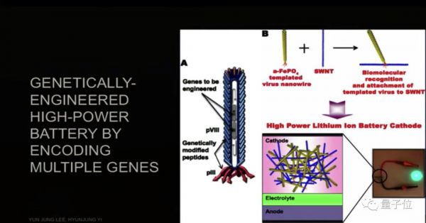 MIT科学家用病毒制造锂电池、探测癌细胞……我们可以不用谈病毒色变