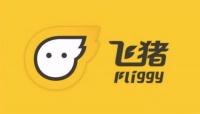 飞猪：湖北相关航线已开通超百条，机票预订翻倍