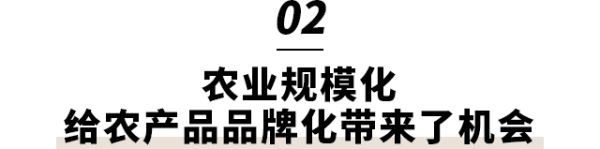 李志刚：农业迎来最佳创业时机