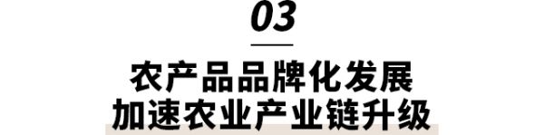 李志刚：农业迎来最佳创业时机