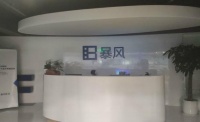 暴风集团：公司仅剩10余人 无法承担业绩快报编制工作