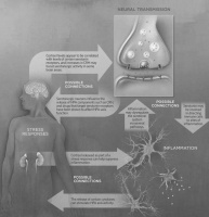 神经科学可以预测自杀吗？