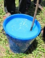二师兄长膘,竟然靠这种粉蓝色的“梦幻”液体?