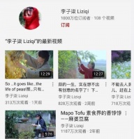 李子柒海外粉丝破千万,成为国内首位千万博主