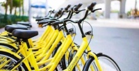 北京市交委立案调查ofo小黄车 你的押金退回来了吗?