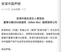 谁在抢夺Arm中国帅位?