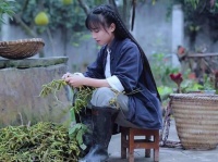 李子柒疑遭越南博主抄袭 律师：维权难度较大