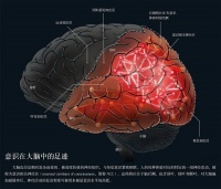 意识是什么?延续数千年的谜题,正在接近破解