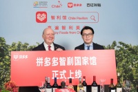 拼多多上线“智利国家馆” 未来投10亿帮海外品牌落地