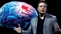 马斯克的Neuralink,是先知的指引,还是无知的妄想?