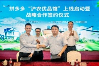 拼多多与上海政府合作:推动优质农产品上行新电商