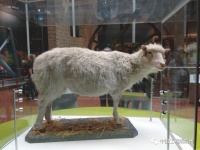 人类基因编辑简史：伦理问题亟需解决