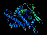 生物学的一个基本大问题迎来突破，它将改变一切