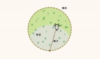 两百多年前的这道简单数学题，终于有了精确解！