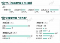 巨头过境，寸草不生？社区团购小创业公司们的狂奔与抉择