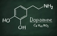 生物学能证明“爱”真的存在吗？