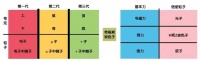 一个反常的基本粒子