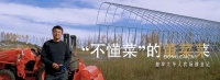 北大工程师海外变身网红“菜农”,异国创业路上的年轻人都在“玩”些啥